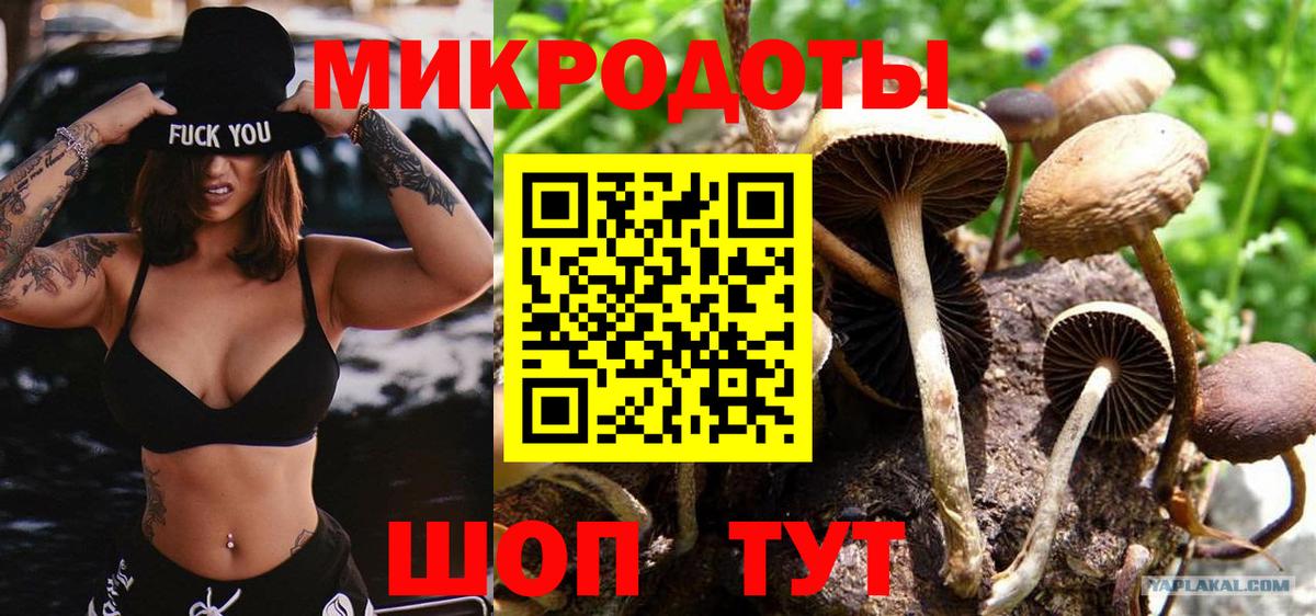 Галлюциногенные грибы Cubensis  Старая Купавна  Псилоцибиновые грибы Cubensis 