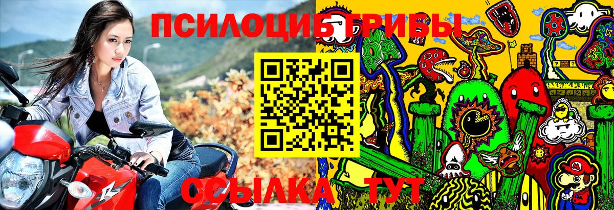 где найти наркотики  Вход с VPN  Старая Купавна  Псилоцибиновые грибы мицелий 